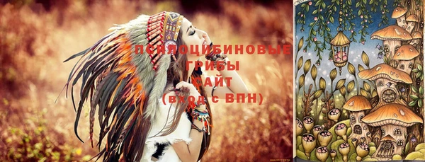 герыч Магас