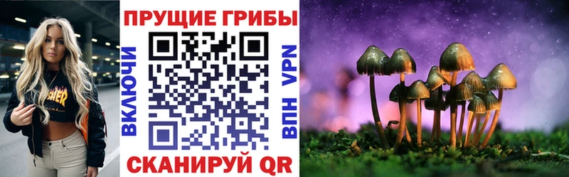 MEGA онион Шумерля Галлюциногенные грибы MAGIC MUSHROOMS